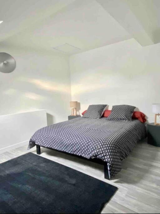 Appartement Centre Ville Saint-Amand-Mont-Rond 外观 照片