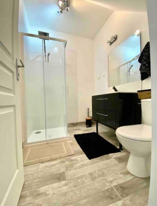 Appartement Centre Ville Saint-Amand-Mont-Rond 外观 照片